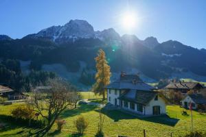 Your Private Alpine Retreat only 7 Min from Gstaad