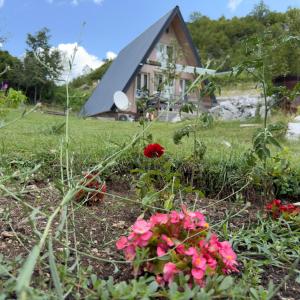 Vrela Holiday Home