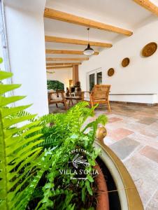 Villa SOlia