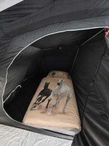 Camping & Glamping Čenda