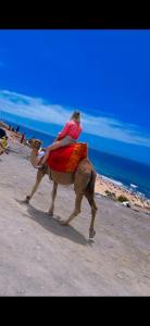Achakar Hills Tangier