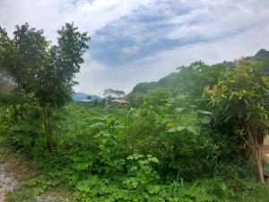 Amica Du Gia Trekking and Homestay
