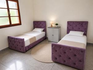 comfortable apartment