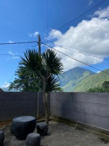 Pondok buahan single room