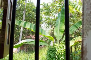 Garden Inn