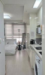 #3805 kangnam sinnonhyeon 2min cozy stay dorm bed in a triple