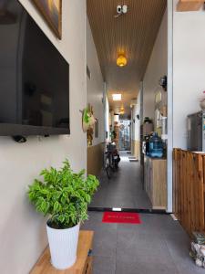Homestay Yến Trường Xuân