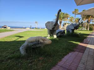 La Perla Del Duque Tenerife