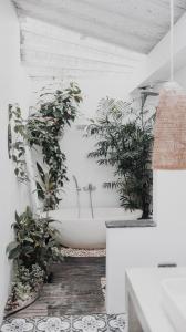 Hotspot Chic Boho Bingin Villa