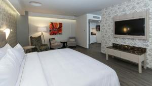 Holiday Inn Express Mexico- Toreo by IHG