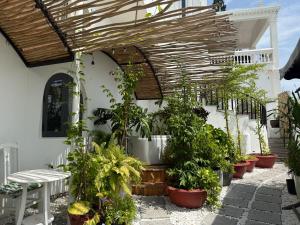 The View Boutique Hotel