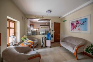 Apartamenty Pod Lwem