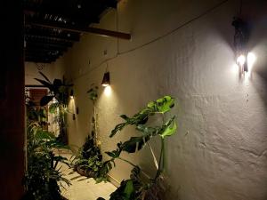Một Homestay Mang Den