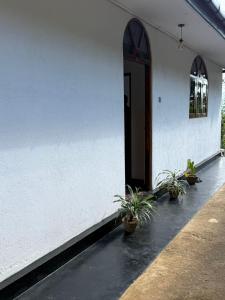 Five Waterfalls View Bungalow