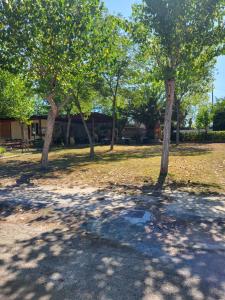 Camping Torre Mucchia