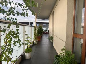 Leszczyńska Penthouse Apartament-50m2 Terrace & Private Parking