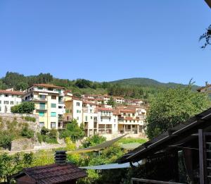 Albizi Home
