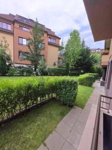 Mountain View Apartment