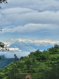 Sattva - The Retreat Home