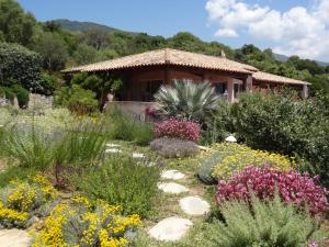 Villa Vetricella Corse Sud