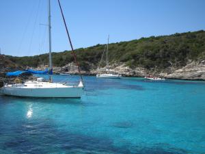 B&B / Chambres d'hotes Villa Vetricella Corse Sud : photos des chambres