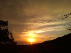 B&B / Chambres d'hotes Villa Vetricella Corse Sud : photos des chambres