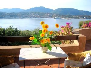 B&B / Chambres d'hotes Villa Vetricella Corse Sud : photos des chambres
