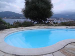 B&B / Chambres d'hotes Villa Vetricella Corse Sud : photos des chambres