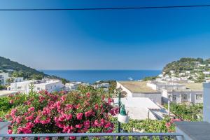 Terrazza Mediterranea