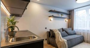 Song Valley Mini studio 204