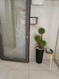 Apartman Vracar