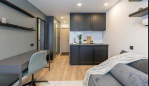 Song Valley Mini studio 204A