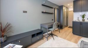 Song Valley Mini studio 204A
