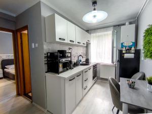 Central Art Apartment