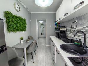 Central Art Apartment