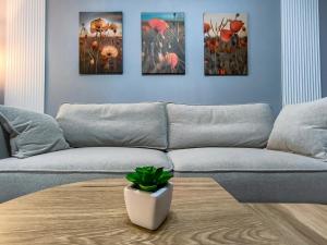Central Art Apartment