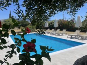 Villa Astoria Exclusive luxury villa in Svoronata with breathtaking views and private grounds