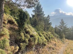 El rincón de la Rapeda