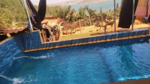 Ferme fadma