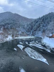 На Грушівці
