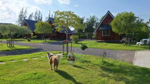 บ้านน้ำผึ้งโฮมสเตย์ Pool & Garden