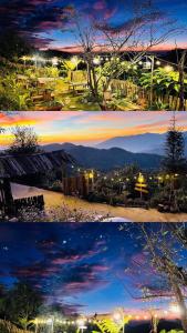 Forest House Ta Xua