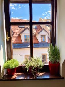 55qm sunny apartment in the house at the river