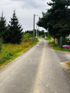 Pokoje gościnne Agroturystyka