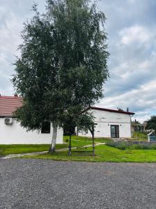 Pokoje gościnne Agroturystyka