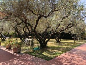 Villa Appartment parking with garden near the sea
