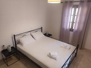 Aura Ionis spacious house with amazing views