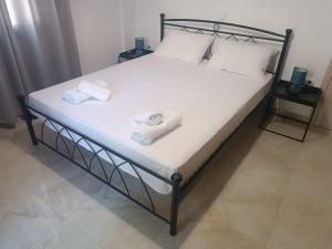 Aura Ionis spacious house with amazing views
