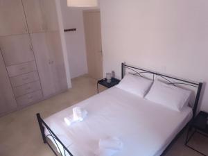 Aura Ionis spacious house with amazing views