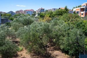 Holiday Home Amare